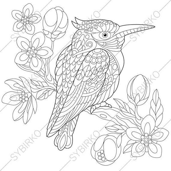 570x570 Kookaburra Bird. Australian Kingfisher. Coloring Page. Animal