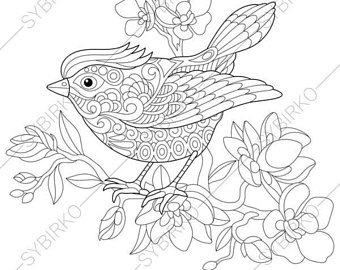 340x270 Kookaburra Bird. Australian Kingfisher. Coloring Pages. Animal