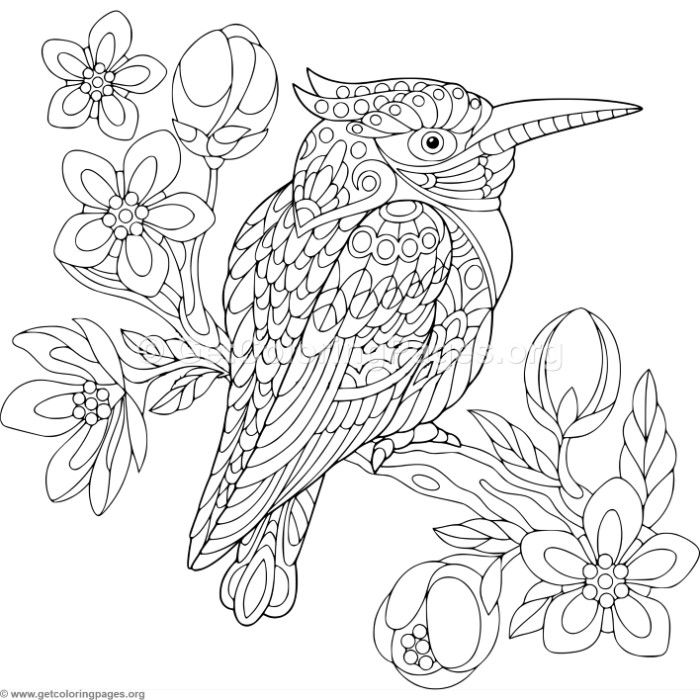 700x700 Zentangle Kingfisher Bird Coloring Pages