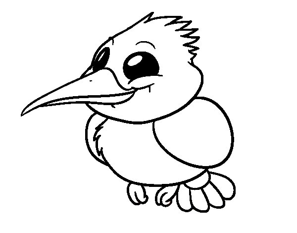 600x470 Common Kingfisher Coloring Page