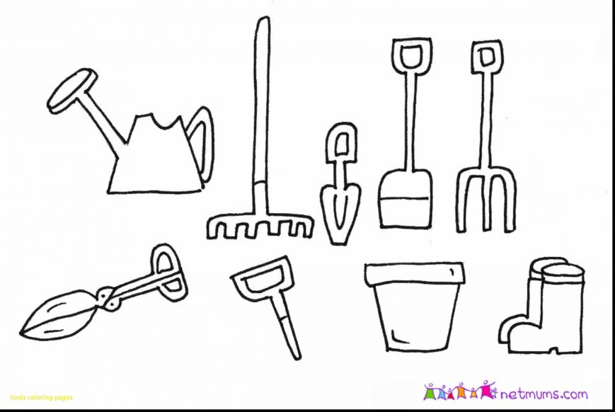 869x582 Tools Coloringes Images Highest Clarity Science Sheets Doctor