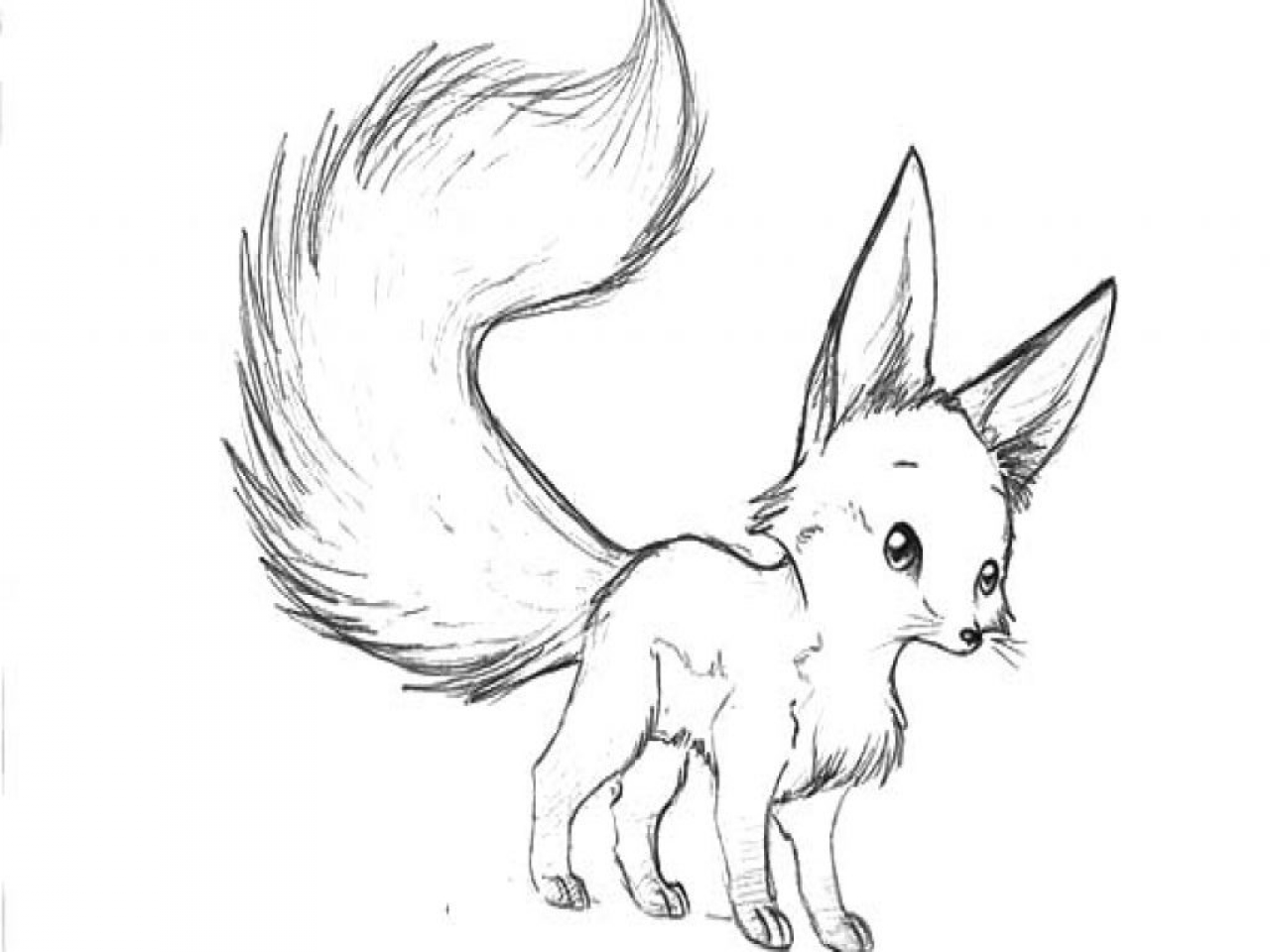 1280x960 Baby Fox Coloring Pages Site