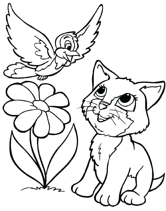 700x890 Cute Kitten As Well As Puppy And Kitten Coloring Sheets