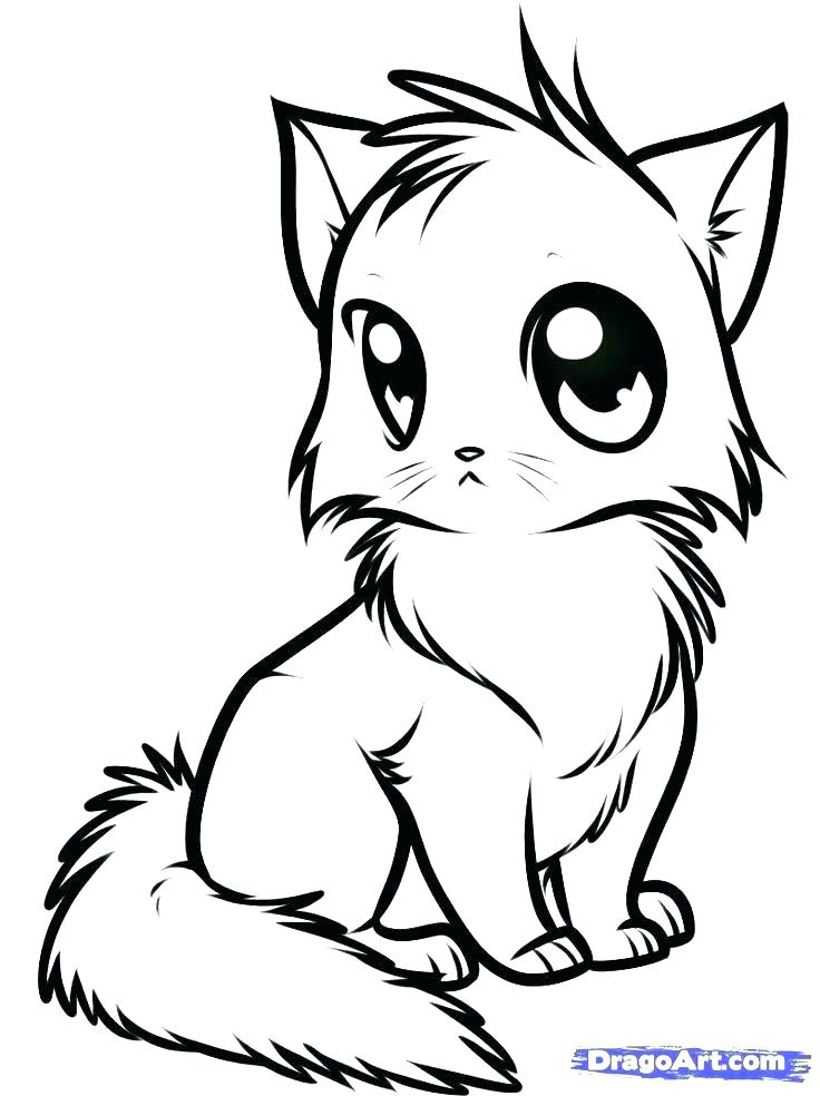 736x984 Printable Kitten Coloring Pages New Kitten Coloring E Crayola