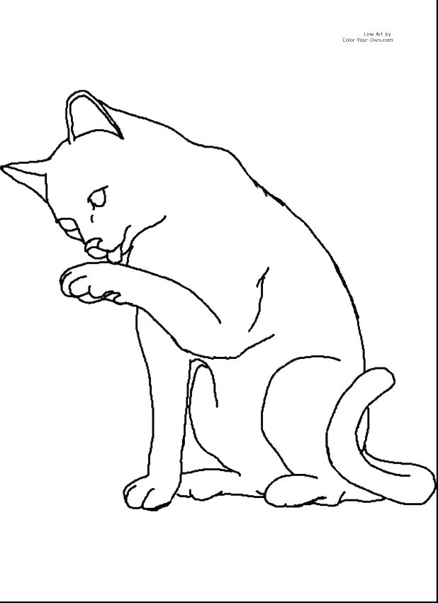 618x850 Kitten Coloring Page Kitten With Yarn Coloring Page Kitten
