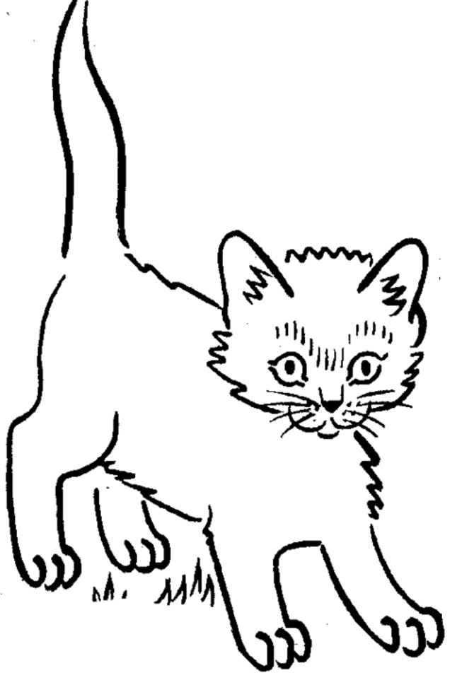 646x962 Kitten Coloring Pages 2