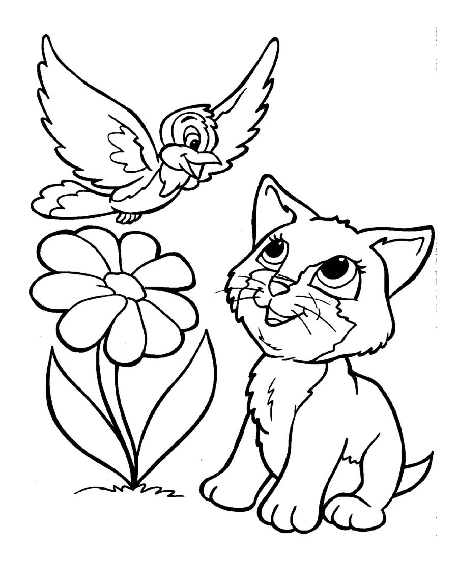 900x1145 Kitten Coloring Pages Animal Adult Stunning Pictures
