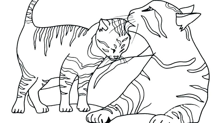 770x430 Kitten Coloring Pages Cat Mother And Kitten Free Online Kitten
