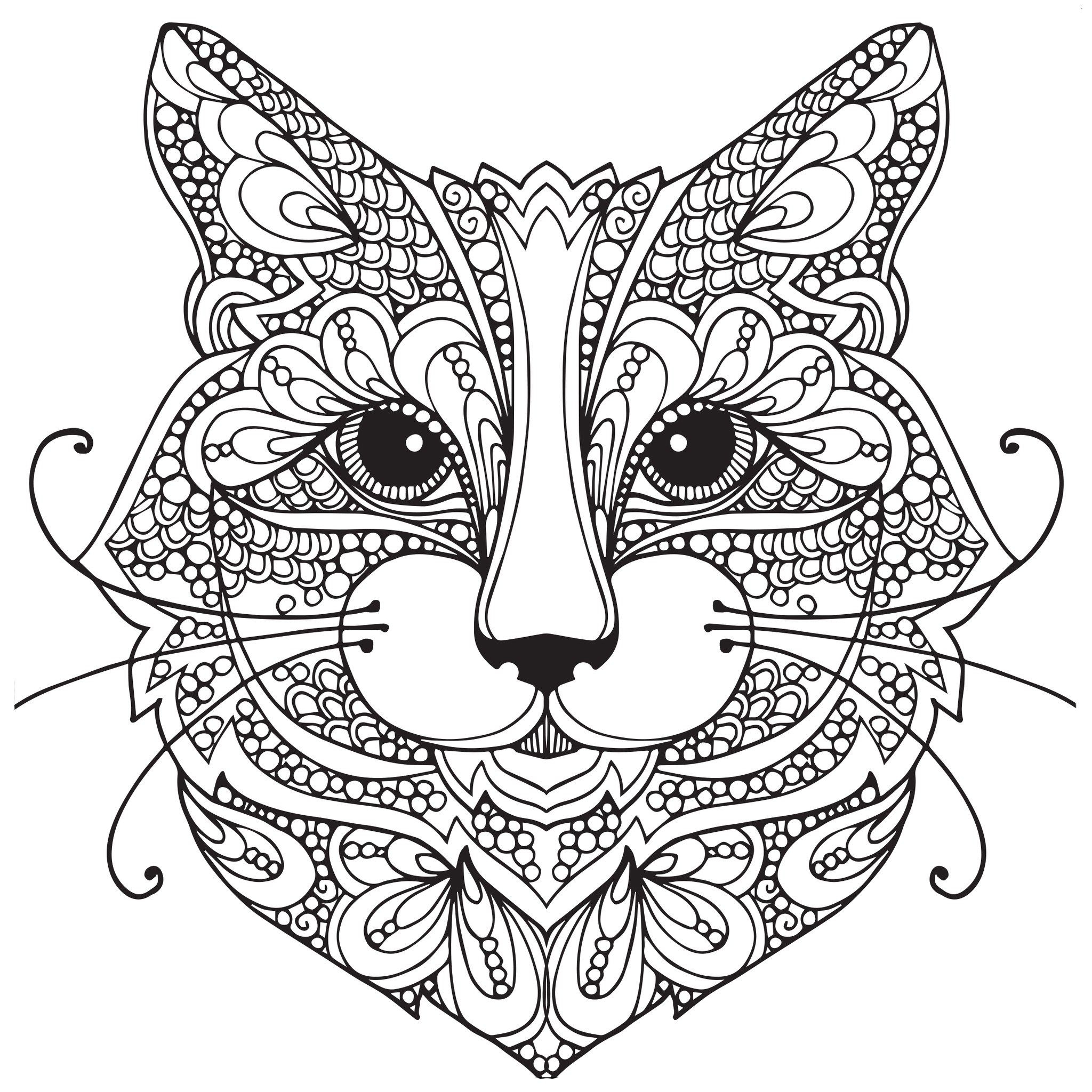 2048x2048 Kitten Coloring Pages Free