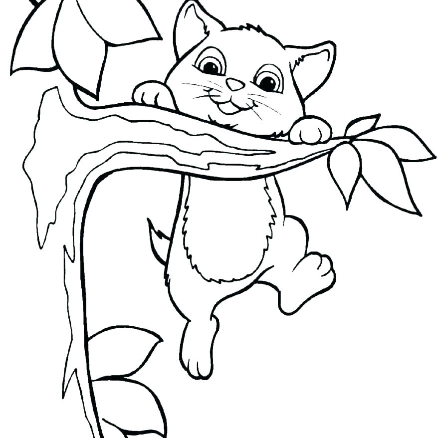 878x878 Baby Kitten Coloring Pages Baby Kitten Coloring Pages Baby Kitten