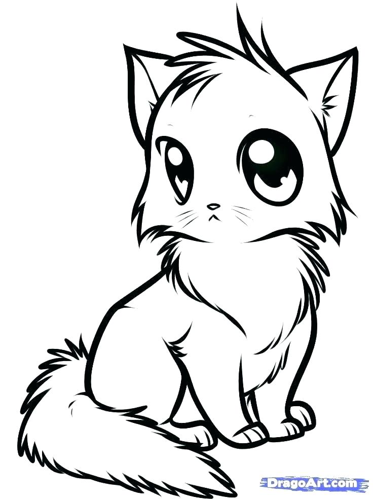 Kitten Coloring Pages For Kids