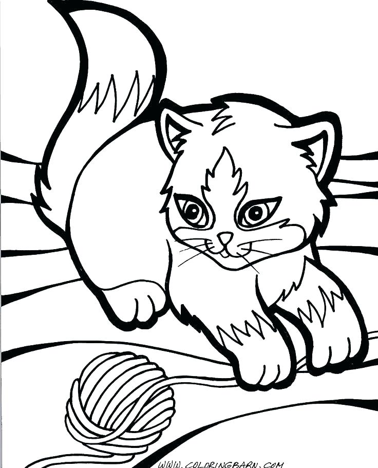736x911 Kitten Coloring Pages Printable Kitten Color Pages Kittens