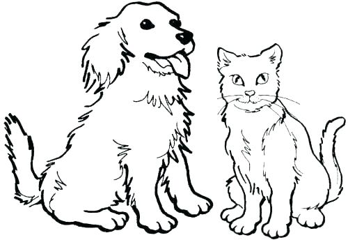 500x344 Coloring Page Kitten Impair.co
