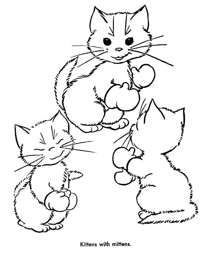 670x820 Cute Kitten Coloring Pages Kittens Coloring Pages Kitten Coloring
