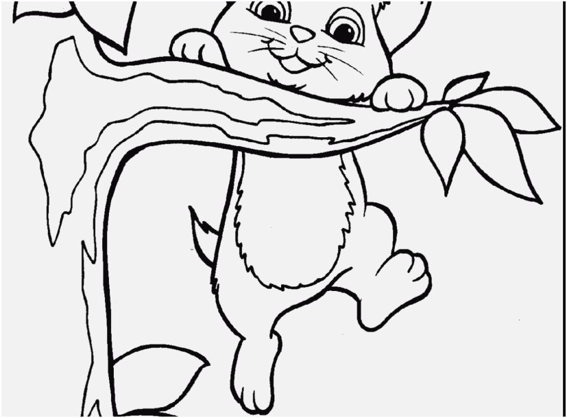 827x609 Top Rated View Cat Coloring Pages Delightful