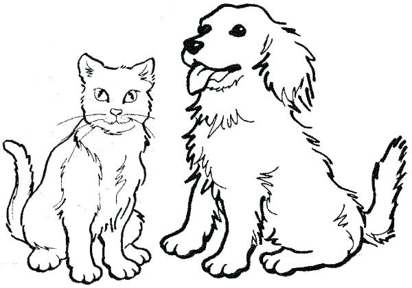 600x420 Free Cat Coloring Pages Color Pages Cats Free Halloween Hello