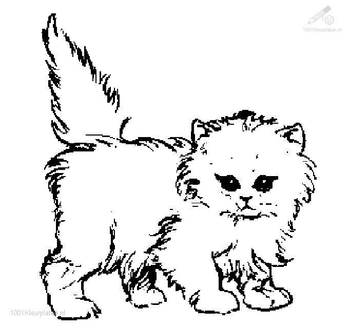 680x637 Cat Coloring Pages Cats Coloring Pages Kitten Coloring Pages
