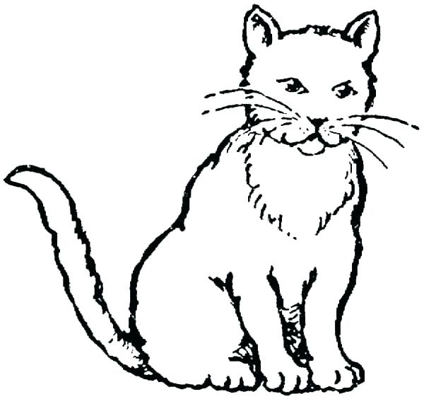 600x564 Coloring Page Of Cat Cats Coloring Pages Cat Pictures To Color