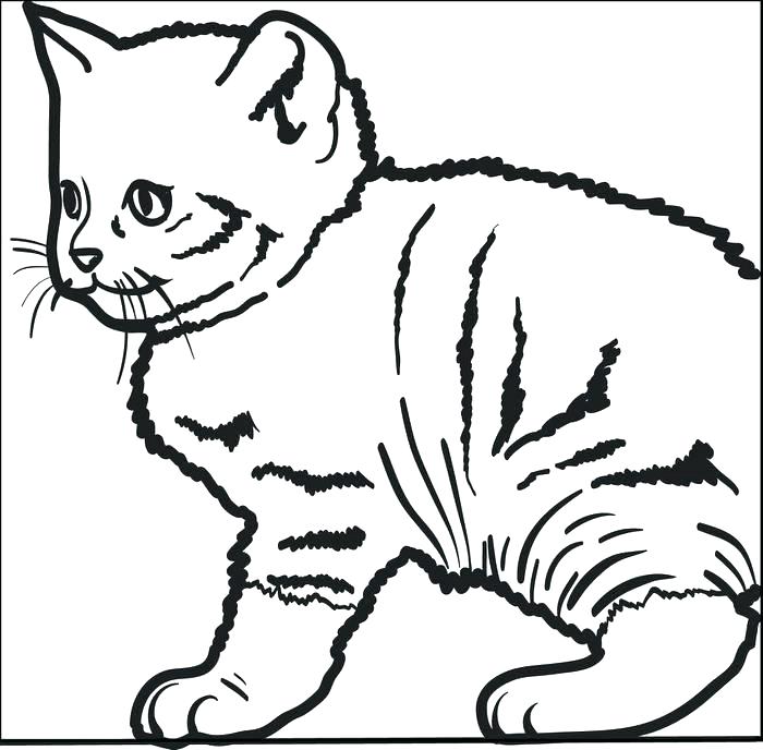 700x688 Coloring Page Of Dog Dogs And Cats Coloring Pages Cute Kitty Cat