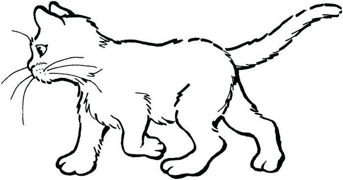 700x368 Kitty Cat Coloring Pages As Well As Printable Coloring Pages