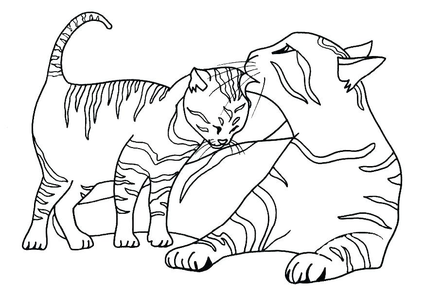 872x618 Black Cat Coloring Pages Perfect Cute Cats Coloring Pages