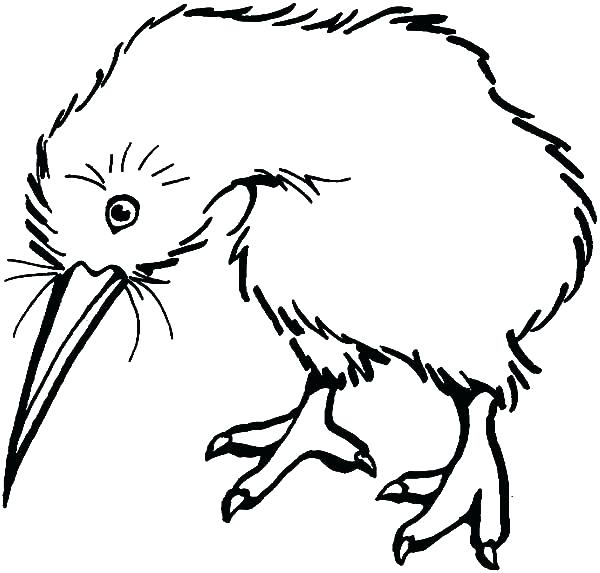 600x573 Kiwi Bird Coloring Page Kiwi Bird Coloring Page Kiwi Bird Look Sad