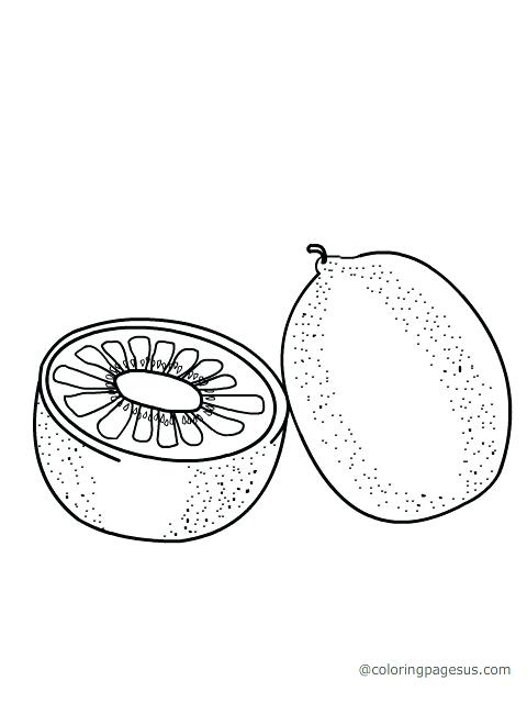 480x640 Kiwi Bird Coloring Page Kiwi Coloring Pages Thanksgiving Preschool