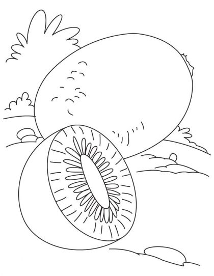 420x542 Kiwi Coloring Page Download Free Kiwi Coloring Page For Kids