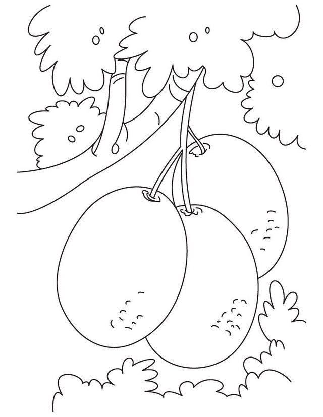 640x827 Kiwi Coloring Page 2 Forever Coloring