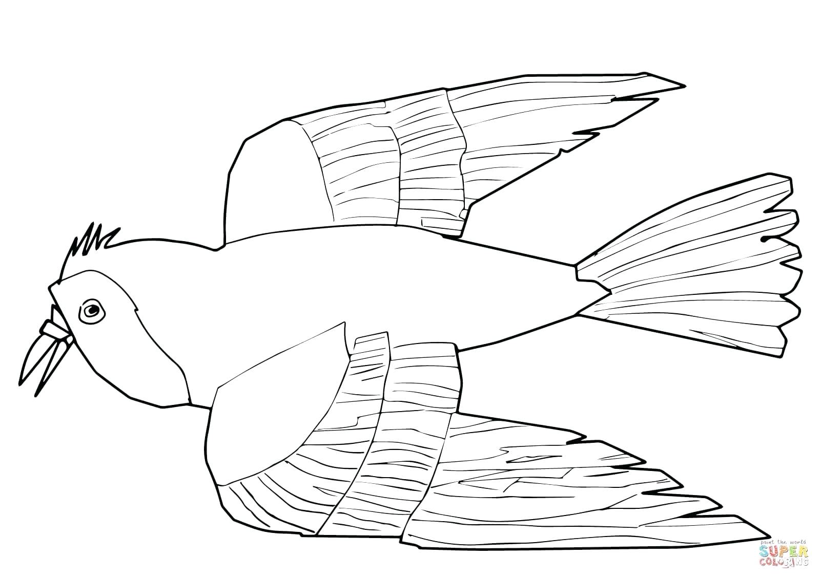 1600x1131 Coloring Pages Online Flowers Red Bird What Do You See Page Free