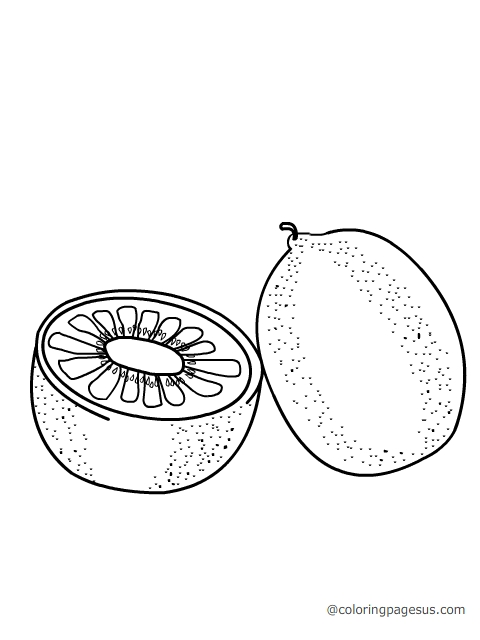 480x640 Kiwi03.jpg