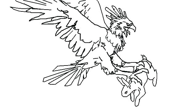 600x356 Knuffle Bunny Coloring Pages Bunny Coloring Pages Harpy Eagle Page