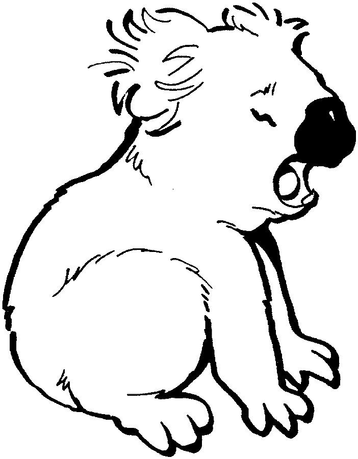 702x900 Koala Coloring Page Boy Birthday Bears, Coloring