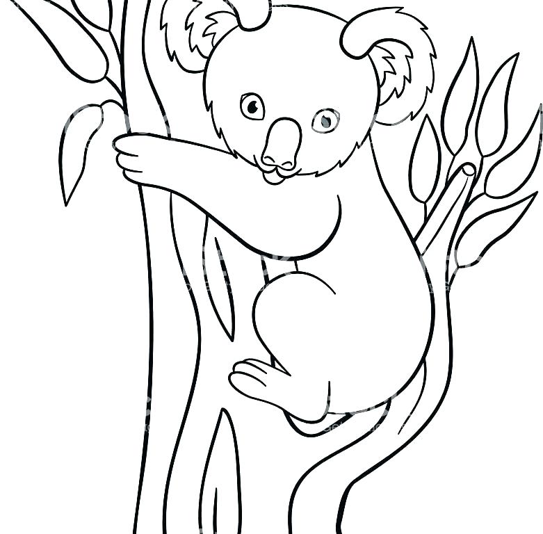 781x768 Realistic Koala Bear Coloring Pages Innovative Koala Bear Coloring