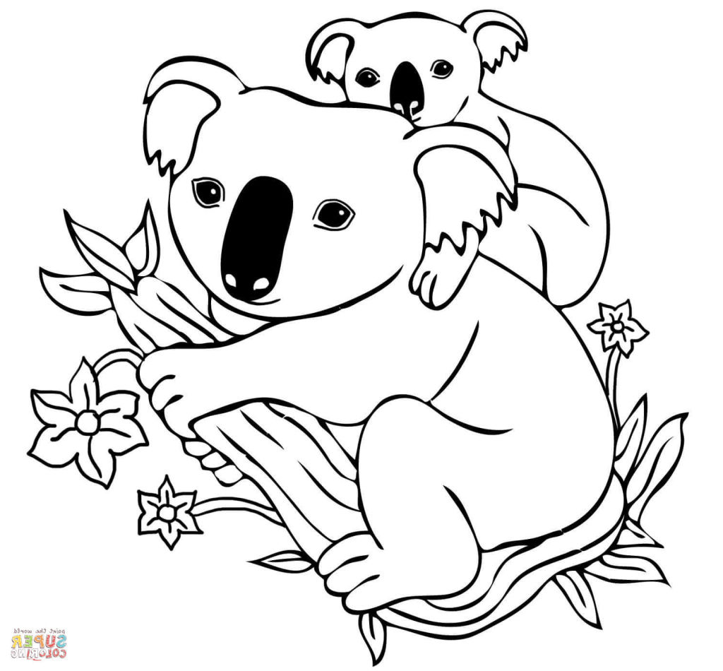 1024x950 Cool Koala Pictures To Color Unique Printable 1187 Unknown