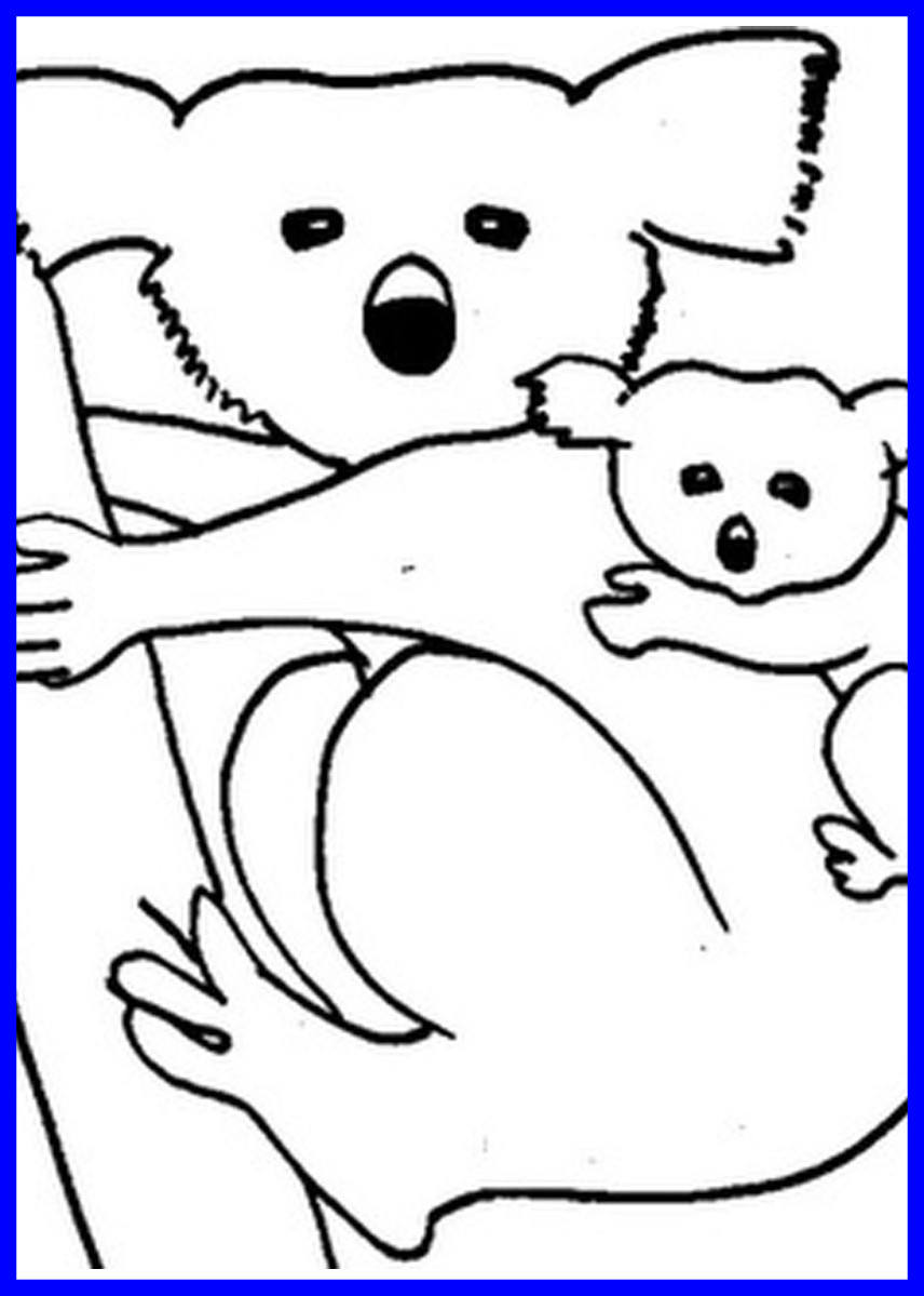 856x1199 Fascinating Printable Coloring Koala Bear Page To Of Inspiration
