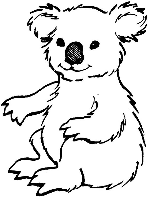 Koala Coloring Pages