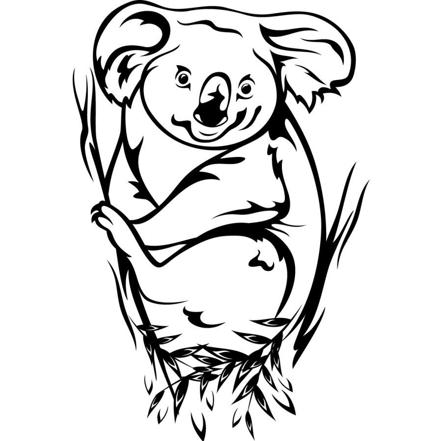 900x899 Koala Coloring Pages For Kids 3d Koala