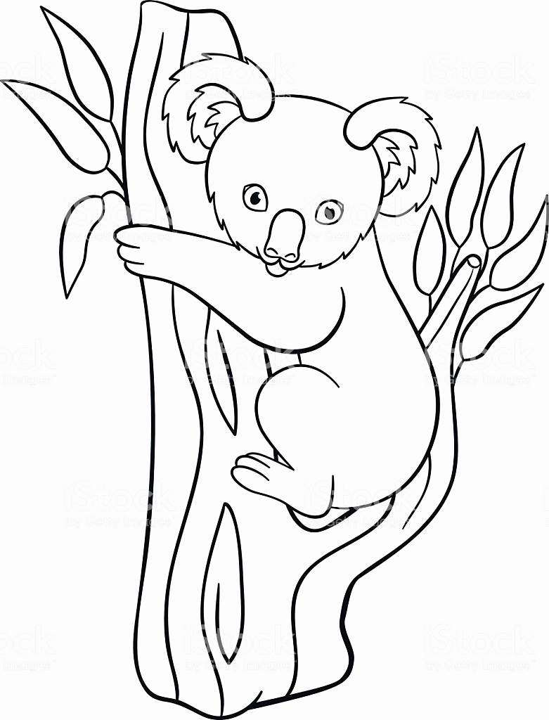 781x1024 Doodle Coloring Pages Printable Koala Coloring Page For Kids