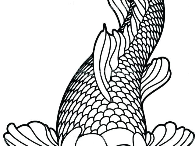 640x480 Koi Coloring Pages New Year Fish Coloring Pages Realistic Koi Fish