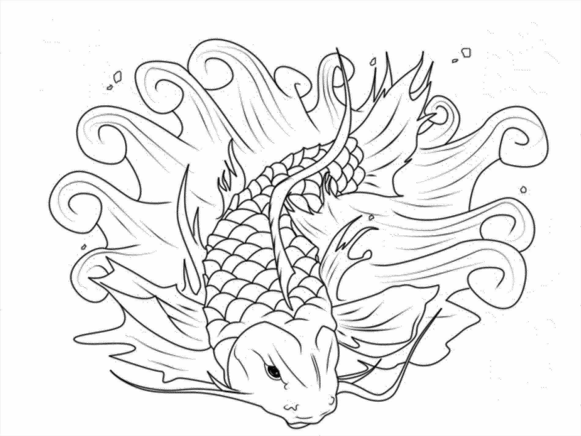 1899x1424 Koi Pond Coloring Pages Hardscaping Backyard Pond