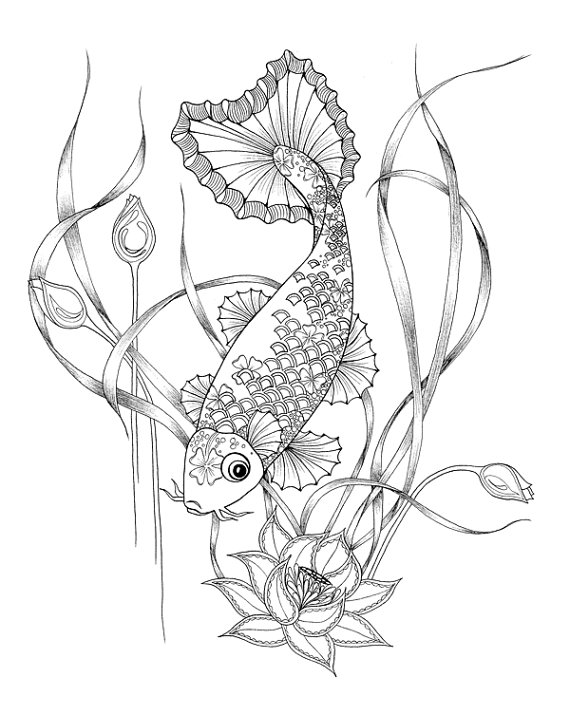 570x715 Majestic Looking Koi Fish Coloring Page Pages Of Printable