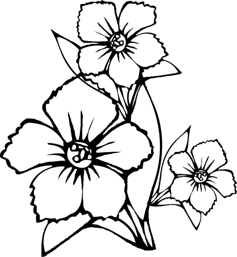 944x1024 Marvelous To Color Coloring Pages Pics For Of Flower Heart Trend
