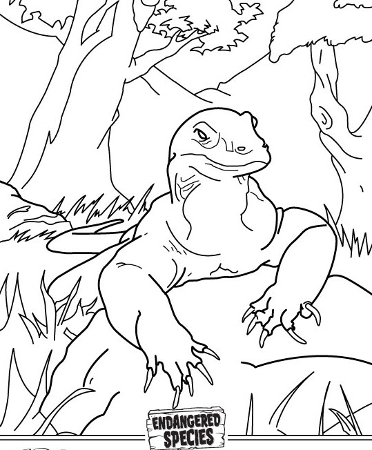 Komodo Dragon Coloring Page