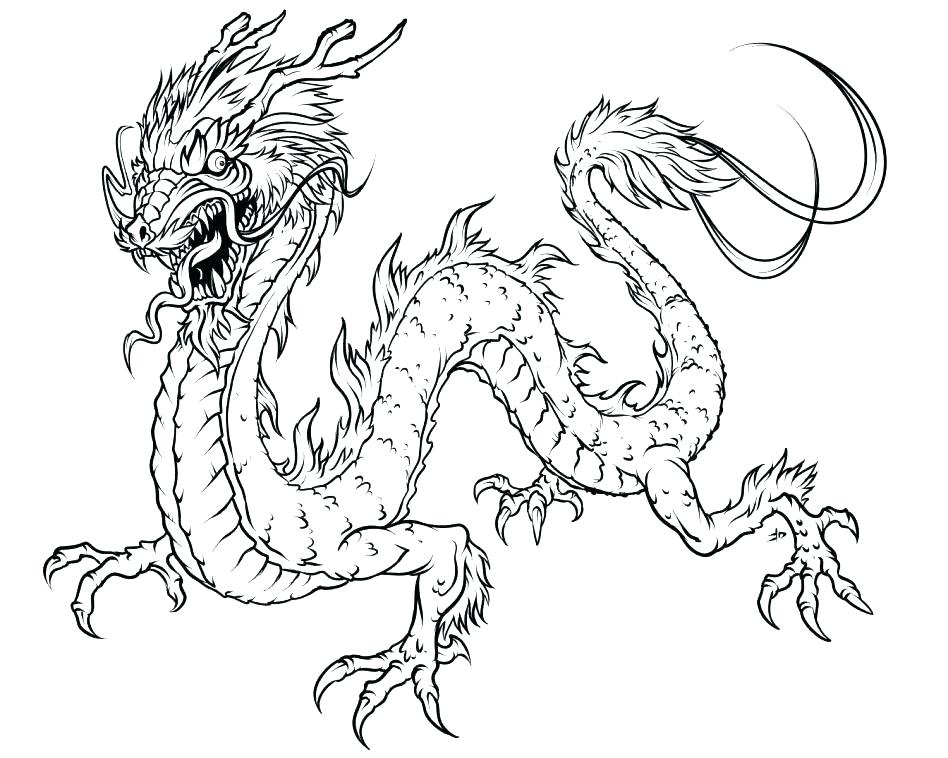 948x758 Komodo Dragon Colouring Sheet Kids Coloring Free Easy Coloring