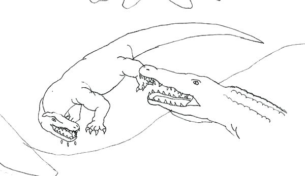 600x347 New Komodo Dragon Coloring Page For Dragon Attacked By Crocodile