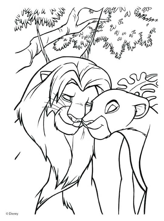 540x728 Lion King Coloring Pages The Lion King Coloring Book Lion King