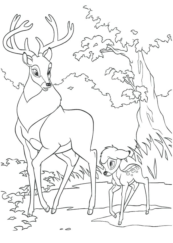 607x850 Bambi 2 Coloring Pages Amazing Kubo And The Two Strings Coloriages
