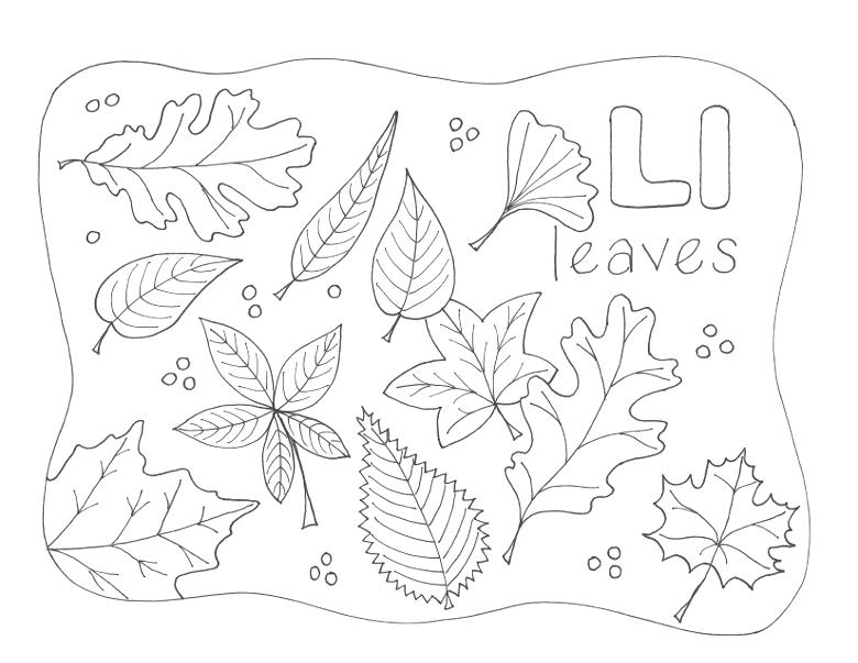 780x603 Letter L Coloring Page Nature Alphabet Coloring Page Letter L