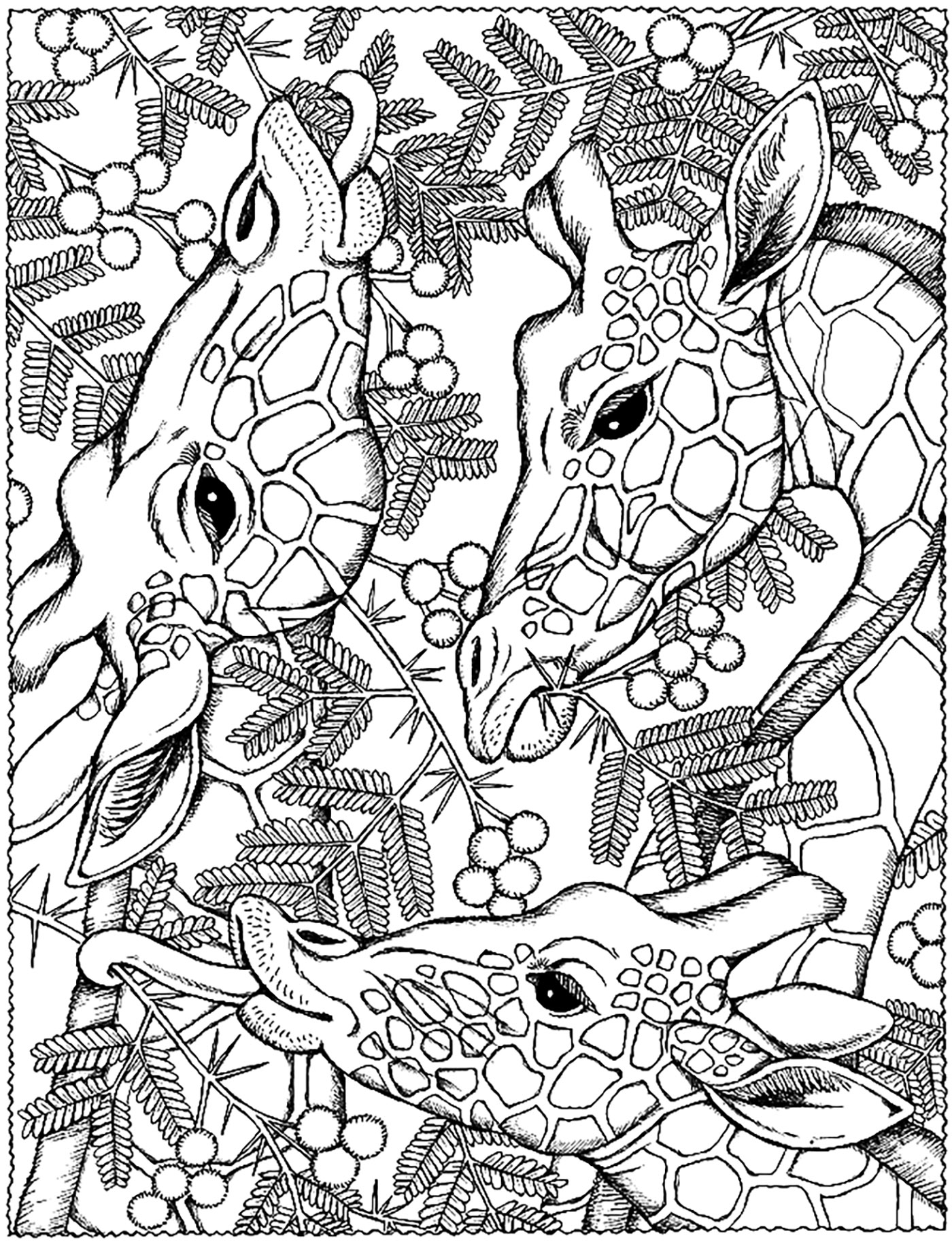1400x1848 Giraffe Mandala Coloring Pages
